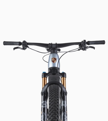 eBike Cross Performance
