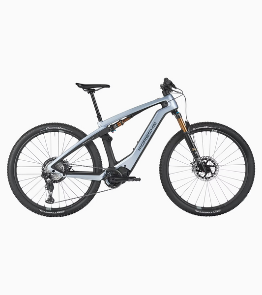 eBike Cross Performance