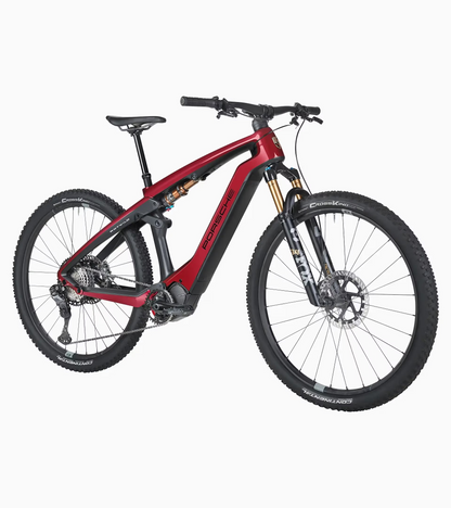 eBike Cross Performance EXC