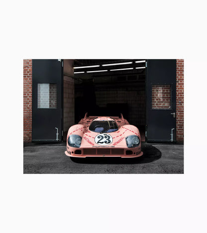 Poster Pack – 917 Pink Pig